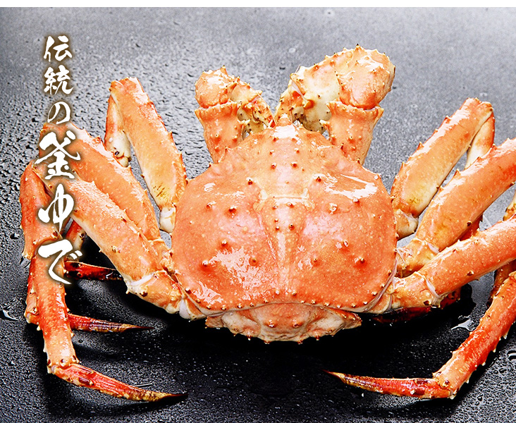 あぶらがに活茹でTOP