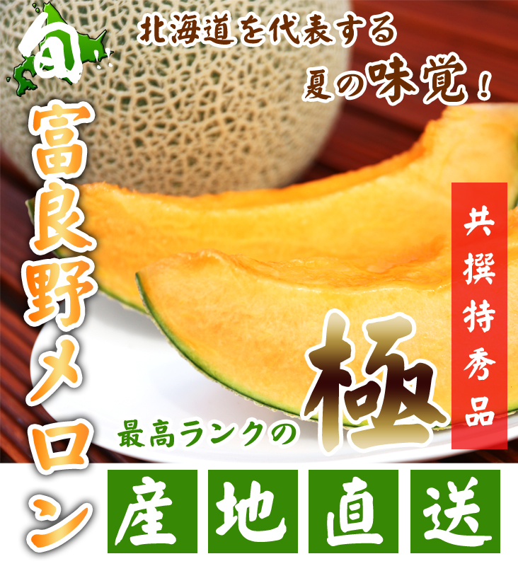 富良野メロンTOP