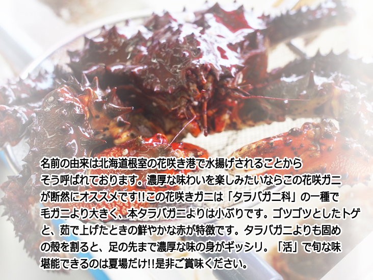 花咲きガニ