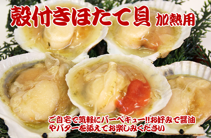 ほたて片貝