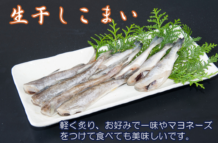生干しこまい [約500ｇ]