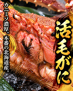 活毛がに