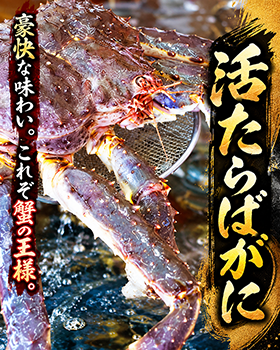 活たらばがに