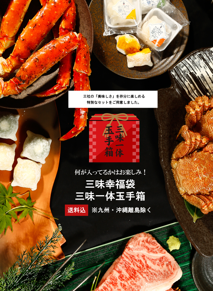 三味玉手TOP